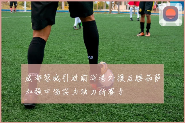 成都蓉城引进前海港外援后腰茹萨加强中场实力助力新赛季